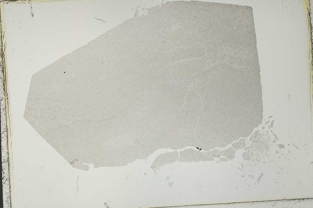 Plane Polarized, S41010