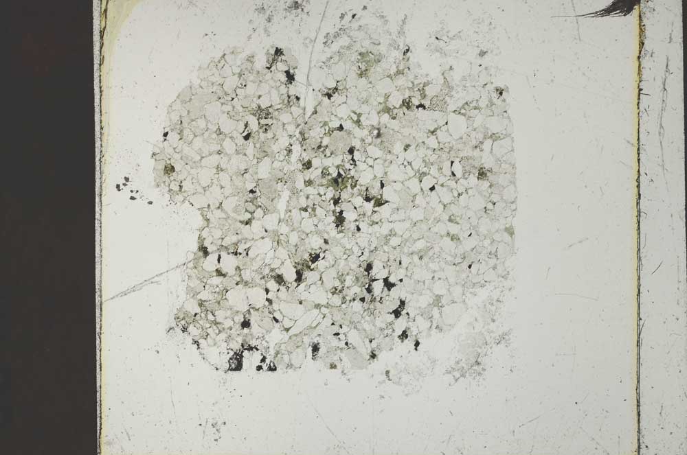 Plane Polarized, S41011