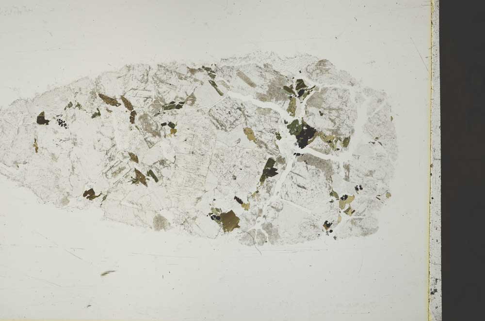 Plane Polarized, S41029