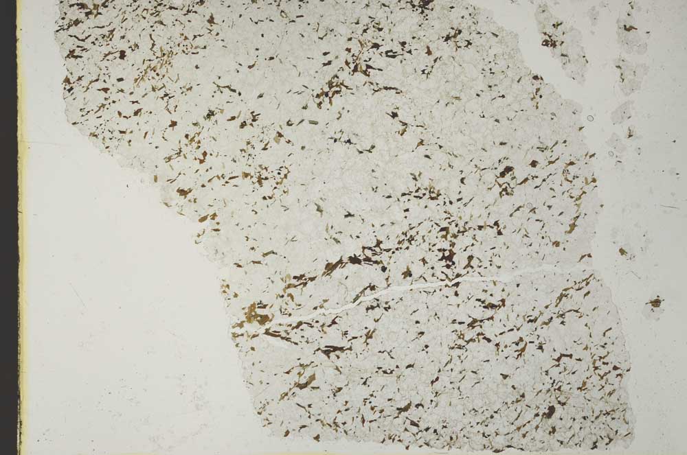 Plane Polarized, S41031