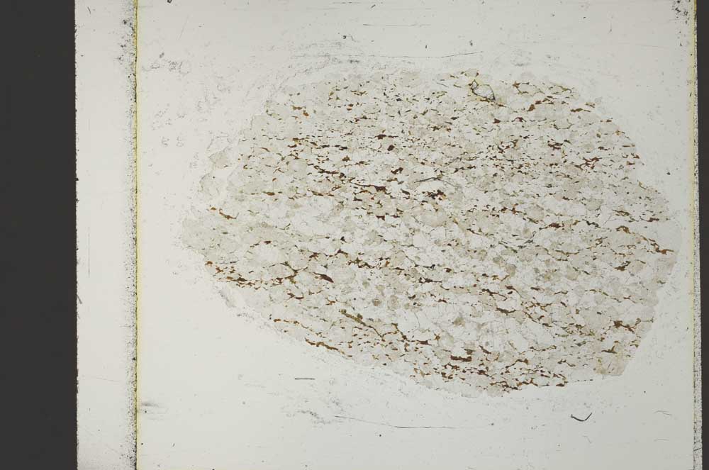 Plane Polarized, S41033