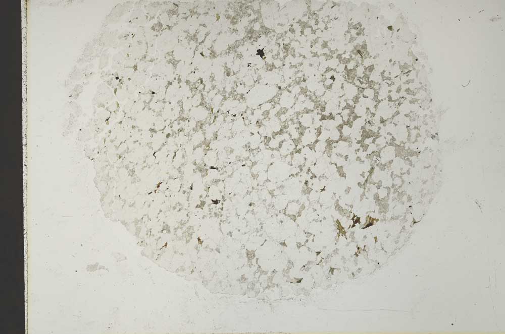 Plane Polarized, S41040