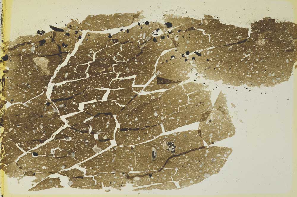 Plane Polarized, S41049