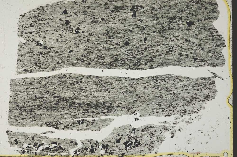 Plane Polarized, S41052