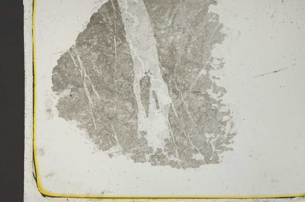 Plane Polarized, S41055