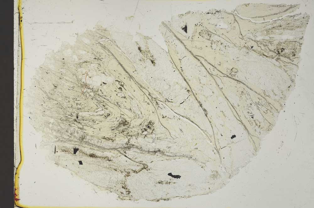Plane Polarized, S41057