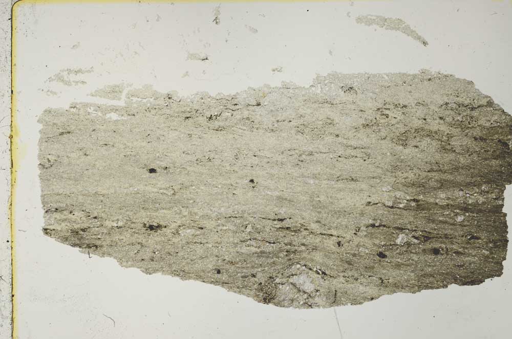Plane Polarized, S41058