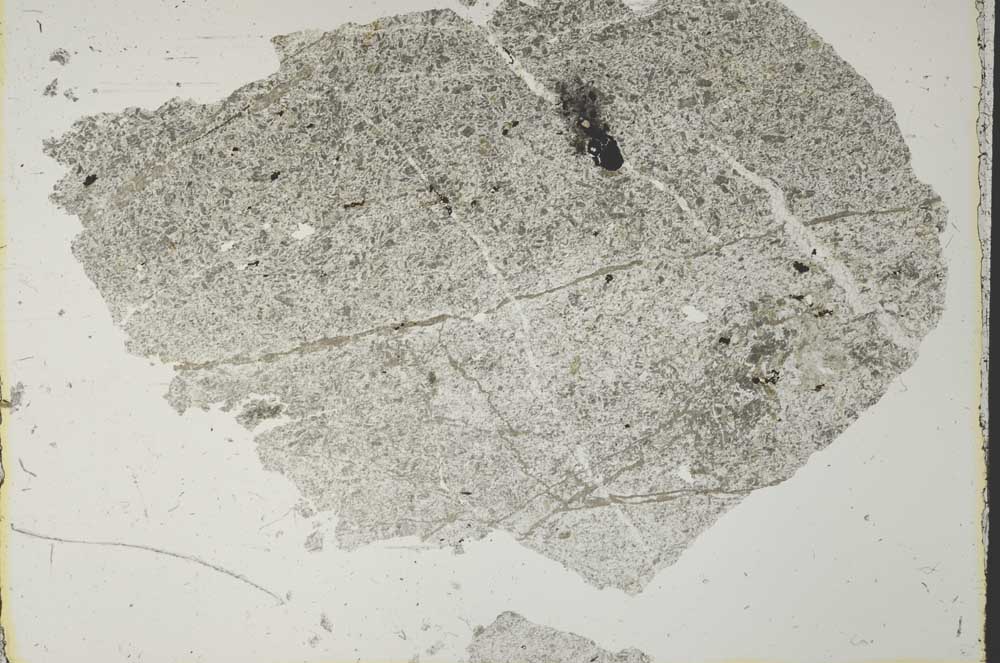 Plane Polarized, S41067