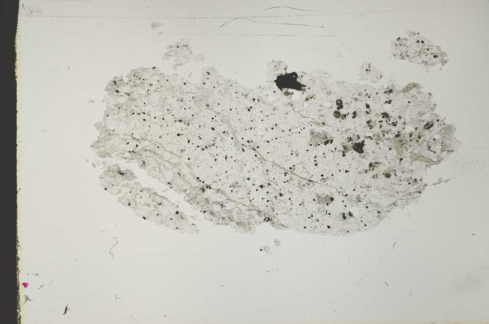 Plane Polarized, S41071