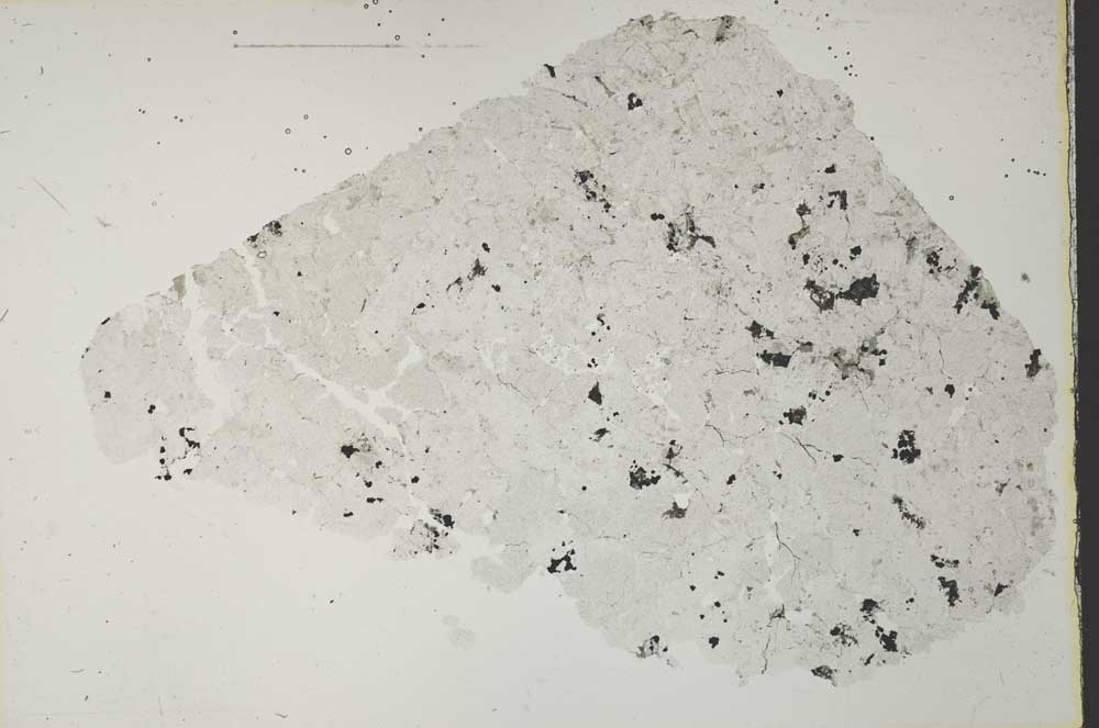 Plane Polarized, S41081