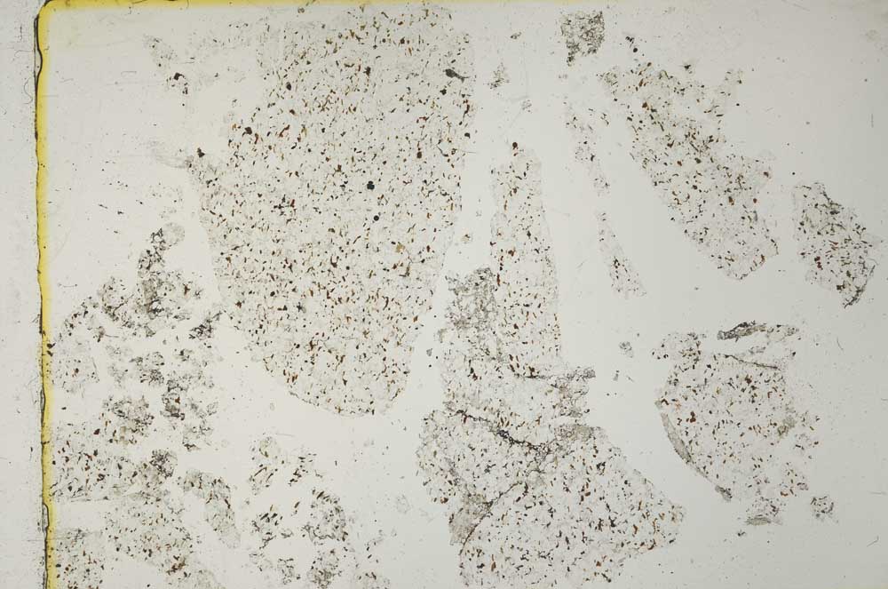 Plane Polarized, S41088