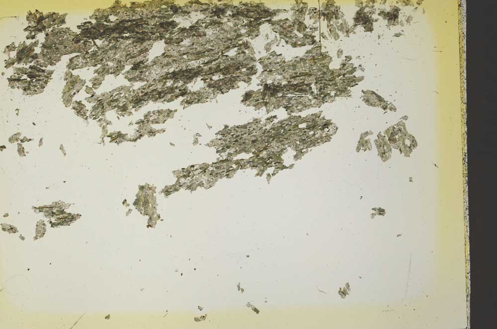 Plane Polarized, S41095
