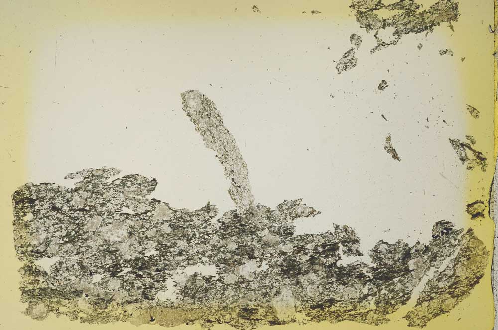 Plane Polarized, S41101
