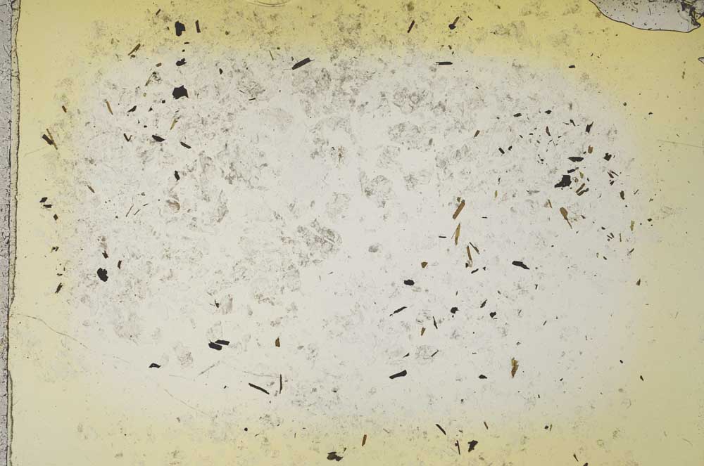 Plane Polarized, S41108