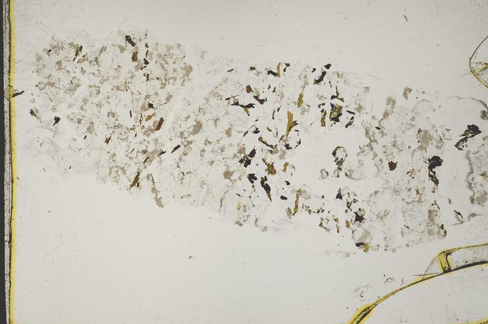 Plane Polarized, S41112