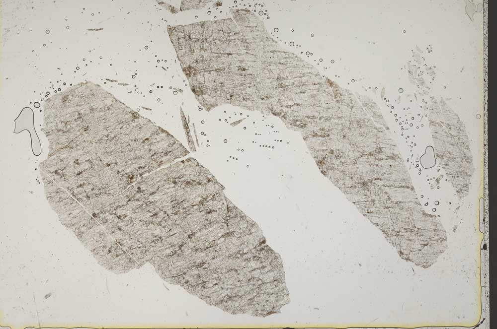 Plane Polarized, S41114