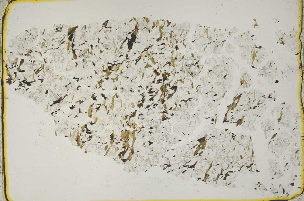 Plane Polarized, S41115