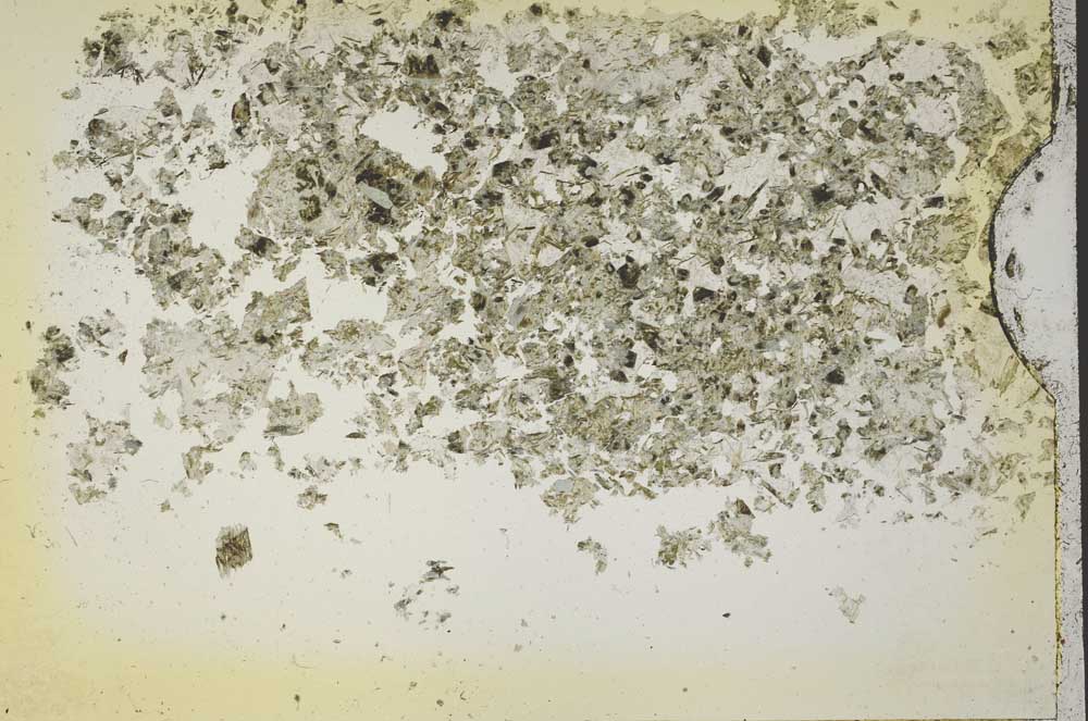 Plane Polarized, S41120