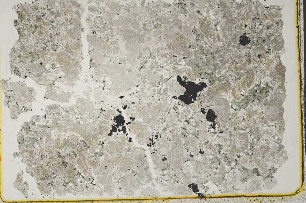 Plane Polarized, S41121