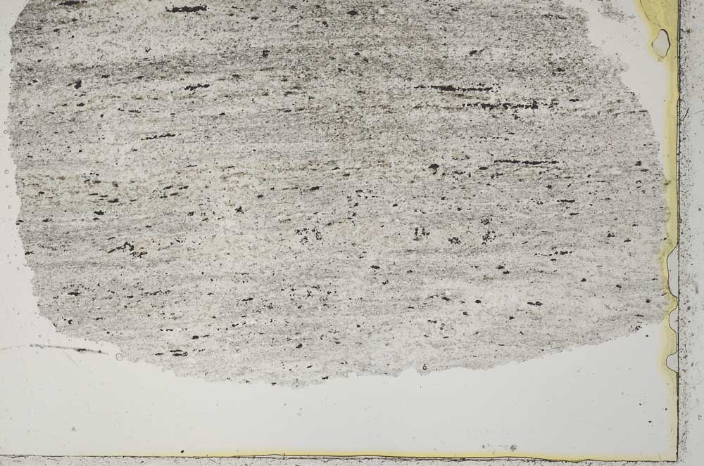 Plane Polarized, S41134