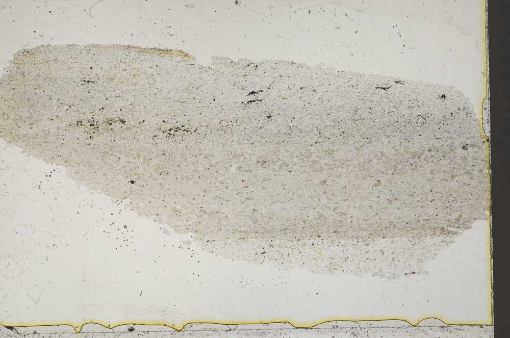 Plane Polarized, S41135