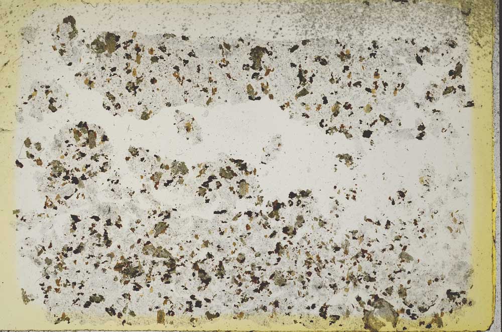 Plane Polarized, S41137
