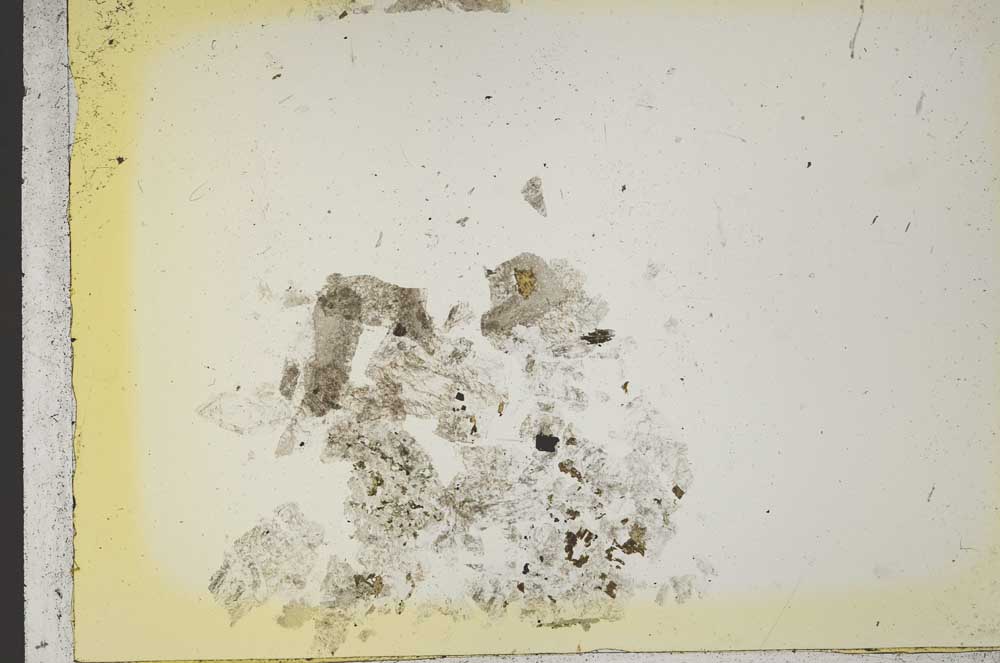 Plane Polarized, S41141