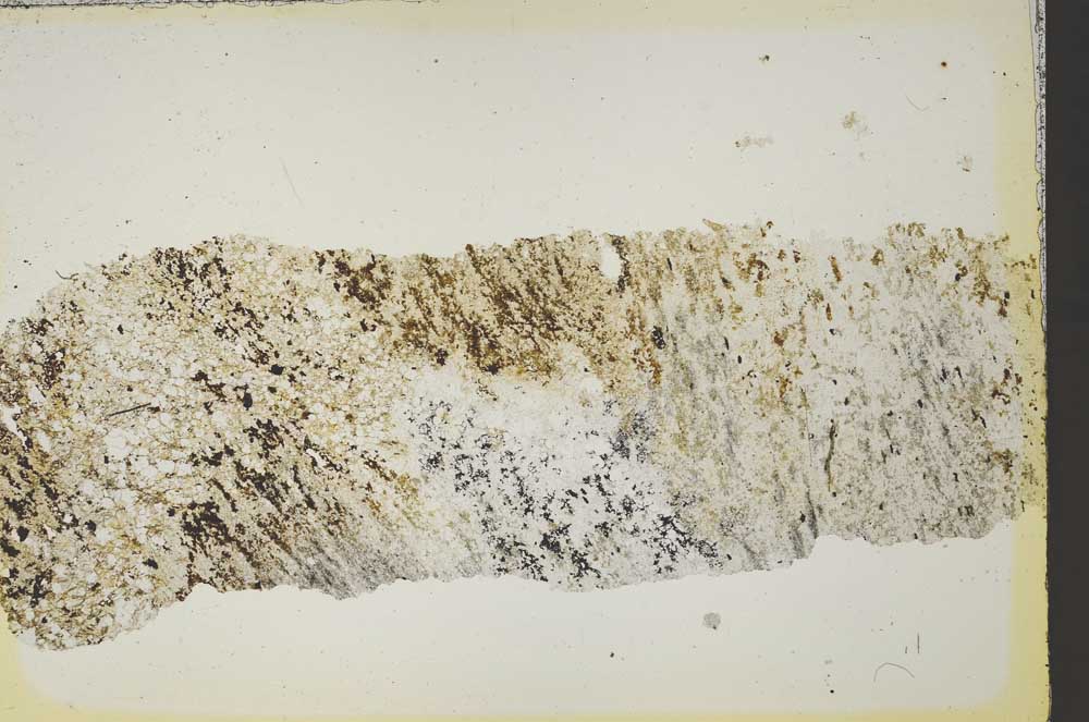 Plane Polarized, S41142