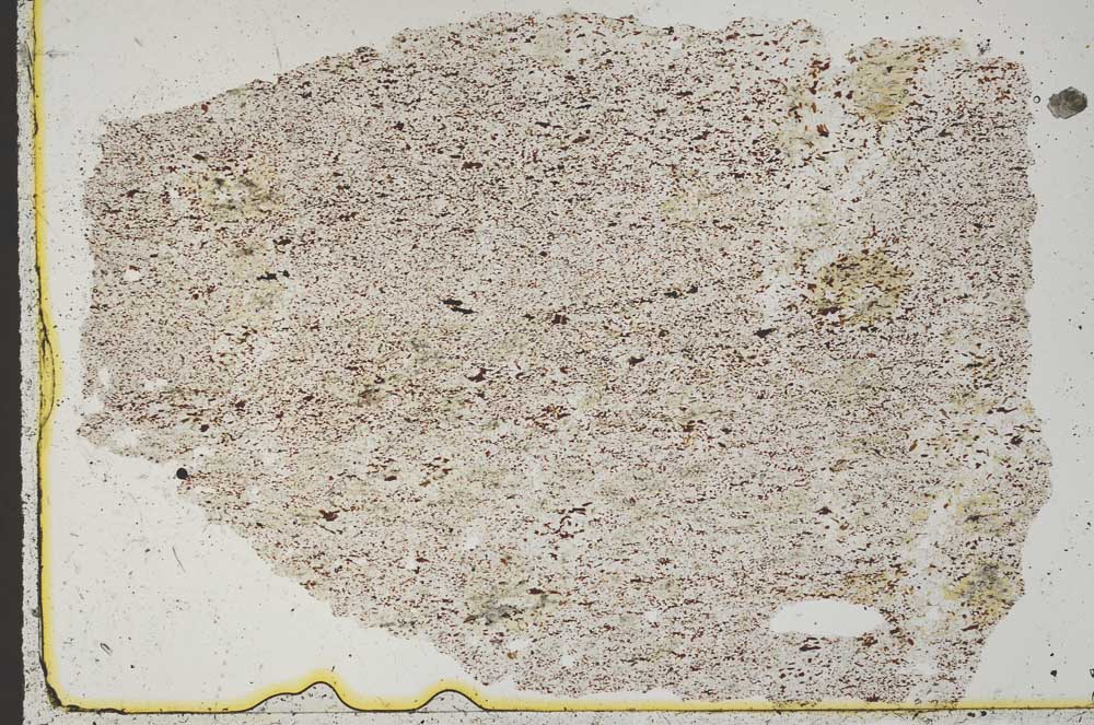 Plane Polarized, S41144