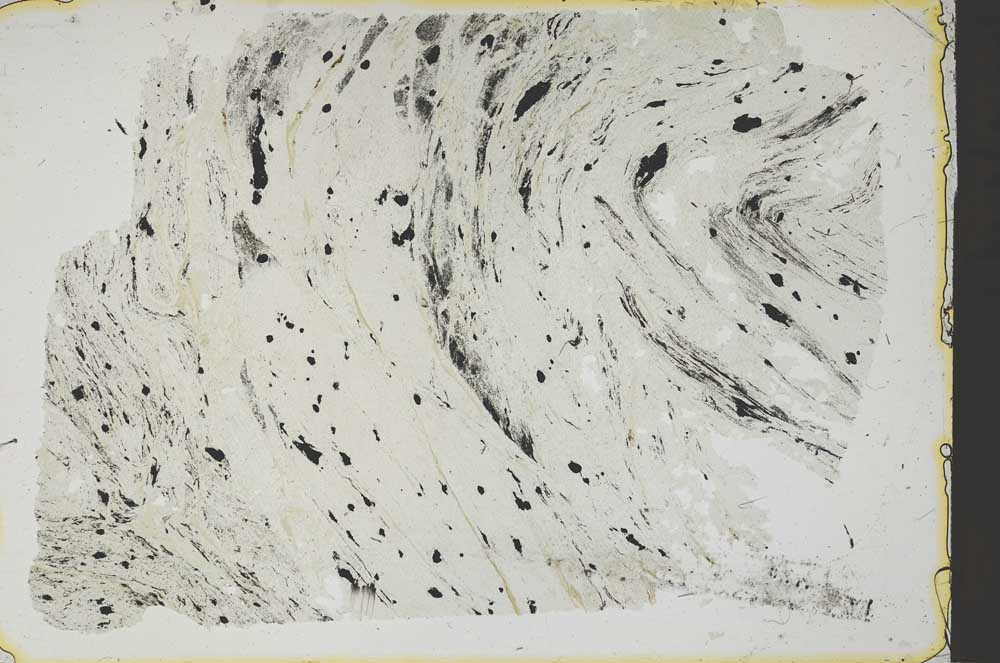 Plane Polarized, S41166