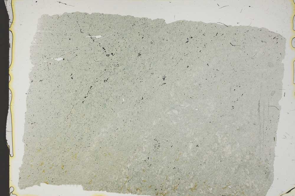 Plane Polarized, S41168