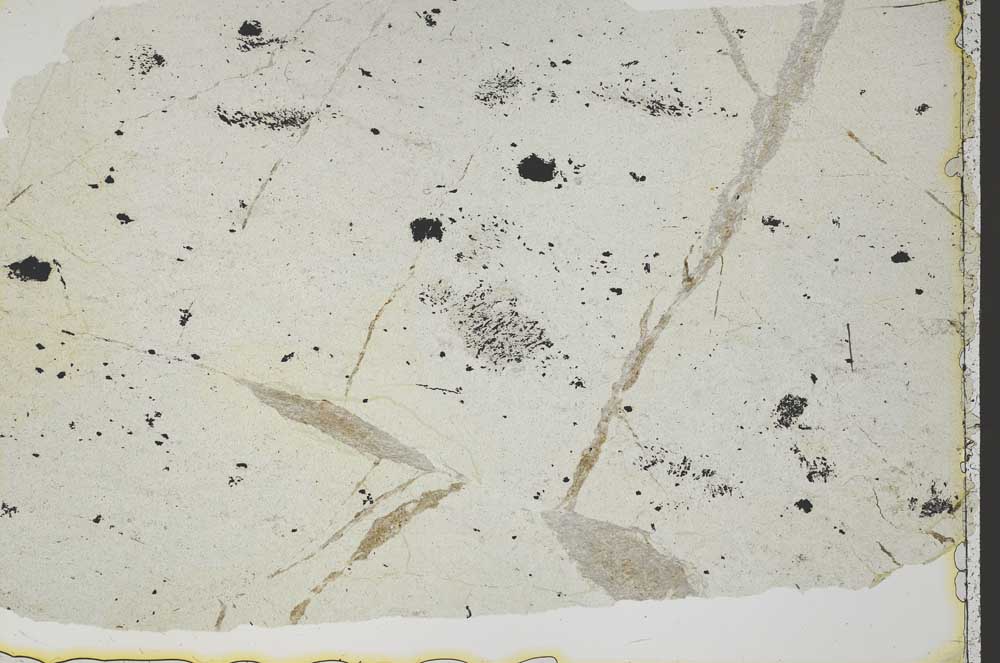 Plane Polarized, S41174