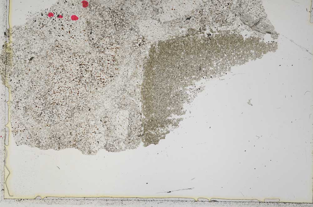 Plane Polarized, S41228