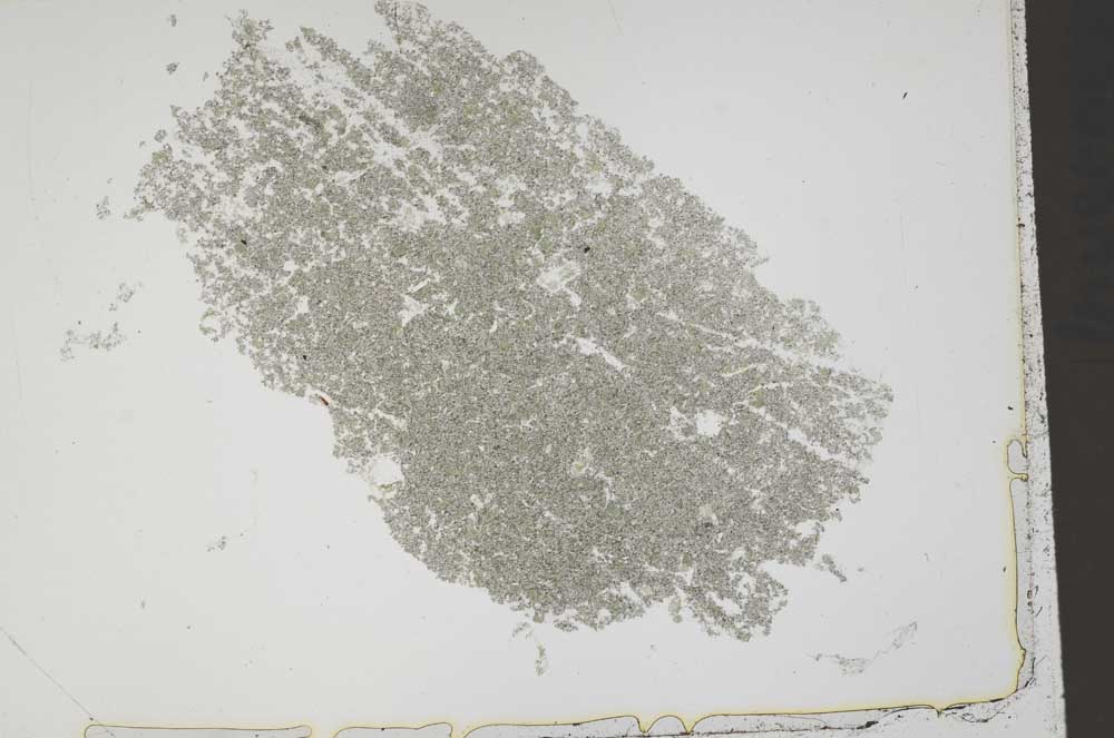 Plane Polarized, S41238