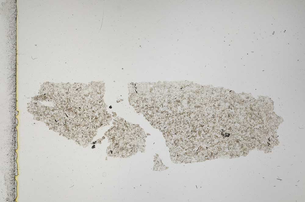 Plane Polarized, S41251