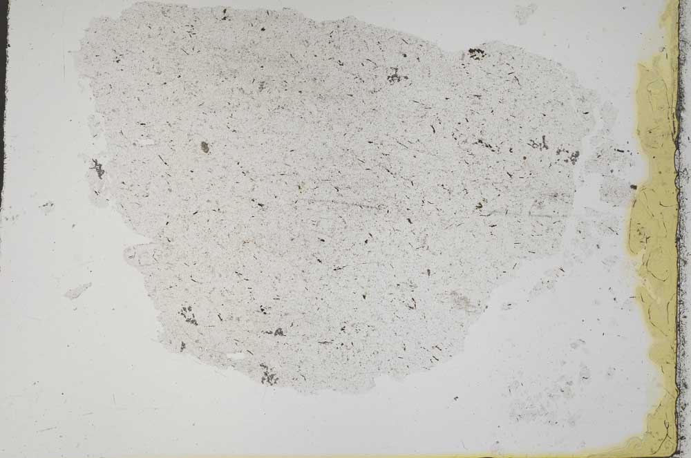 Plane Polarized, S41256