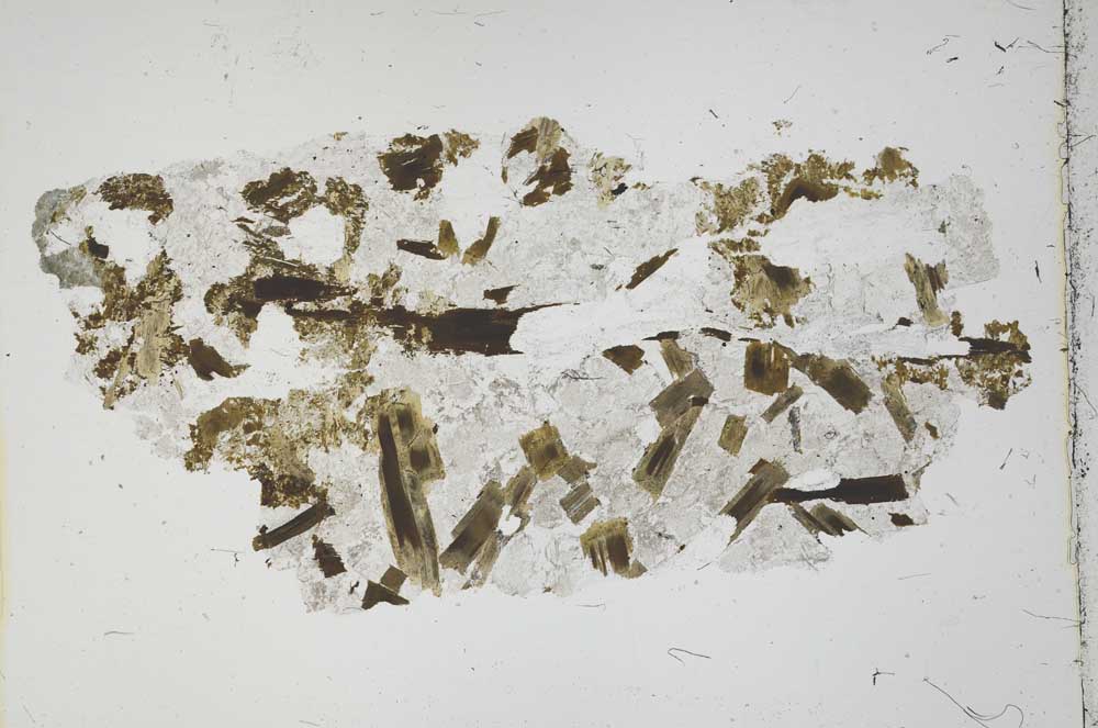 Plane Polarized, S41257