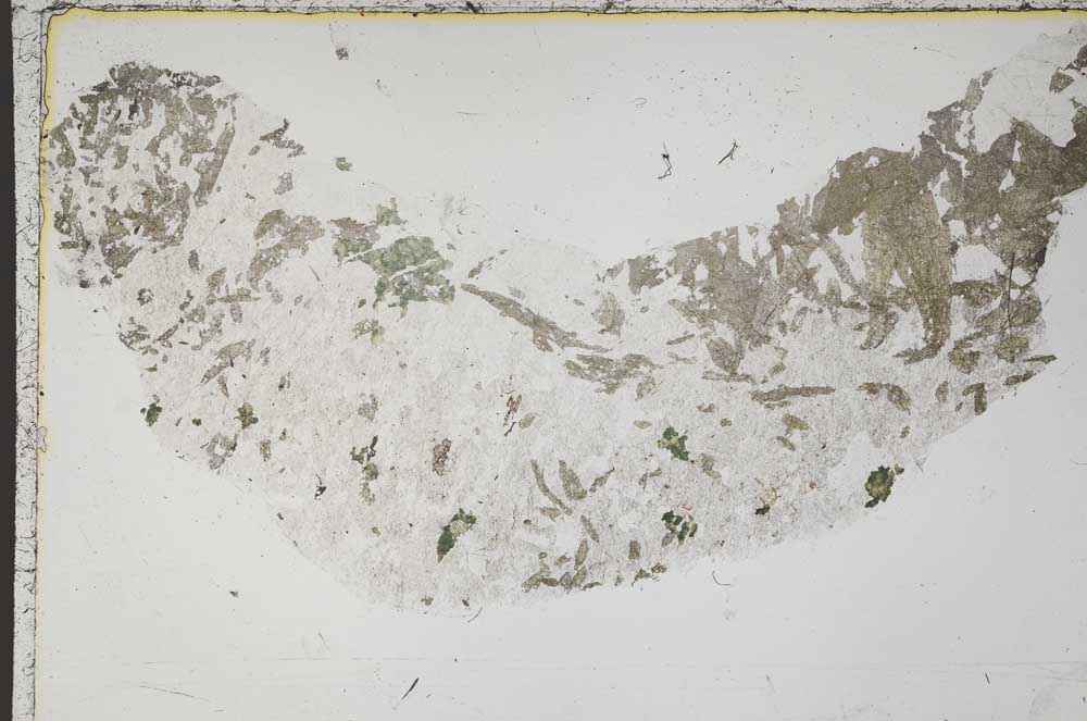 Plane Polarized, S41294