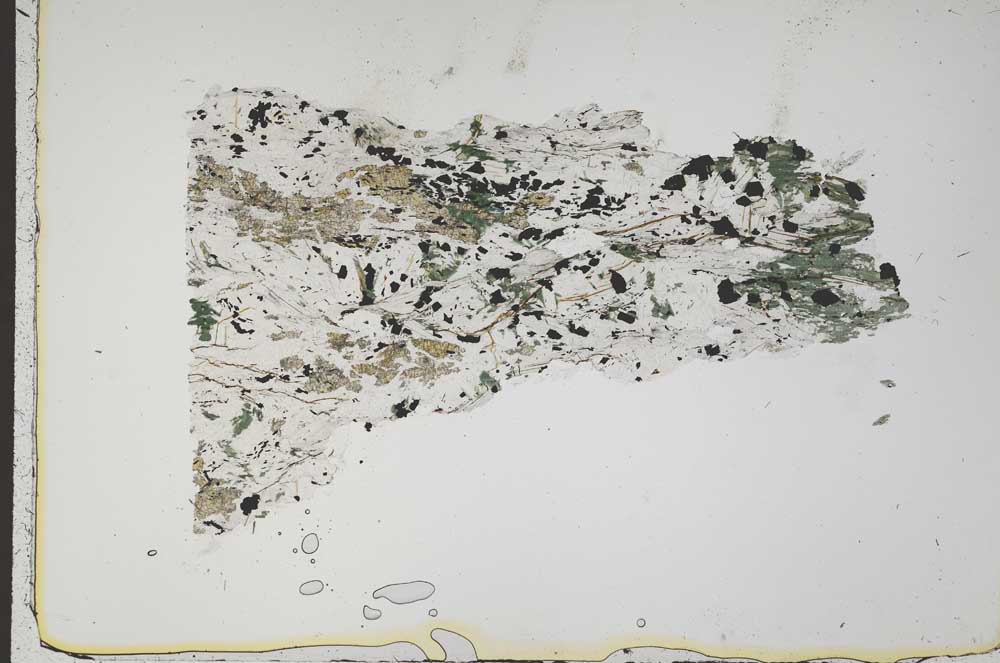 Plane Polarized, S41302