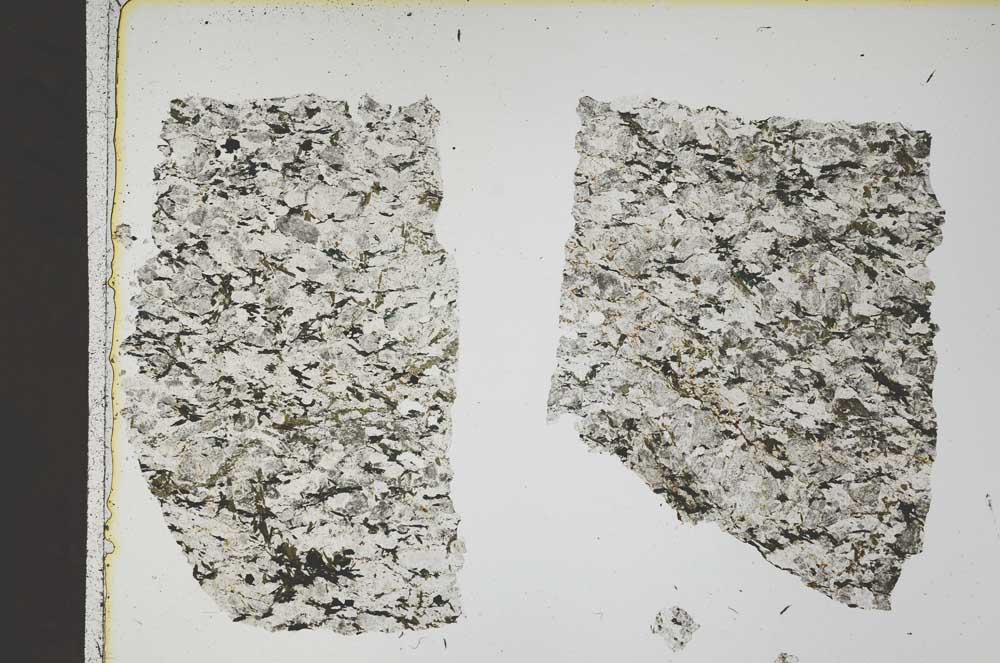 Plane Polarized, S41303