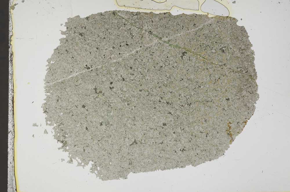 Plane Polarized, S41307