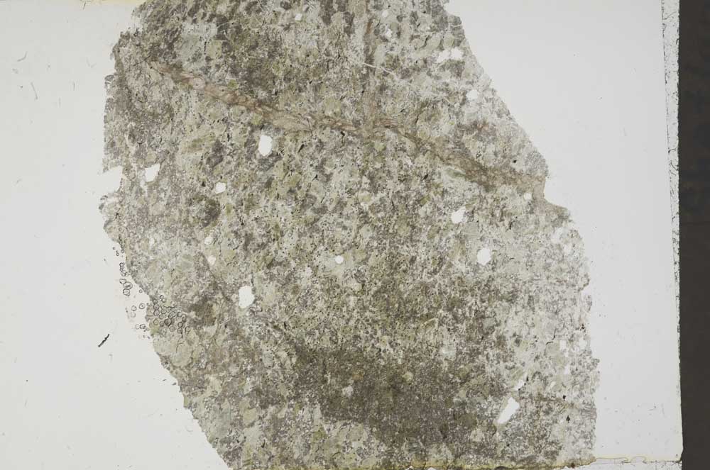 Plane Polarized, S41312