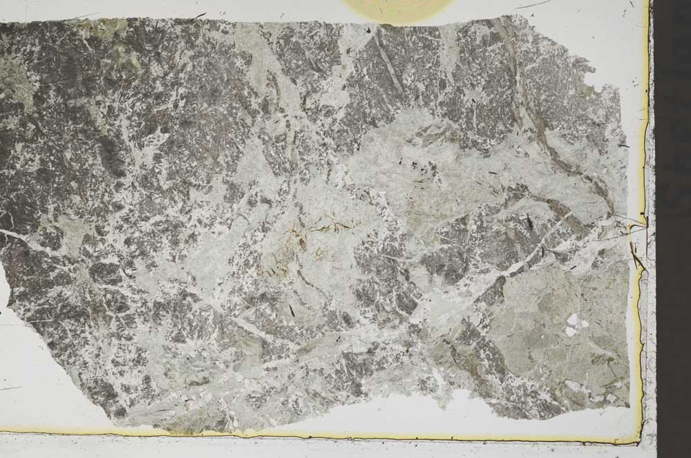 Plane Polarized, S41316