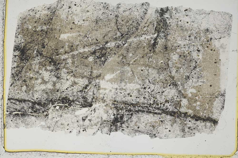 Plane Polarized, S41325