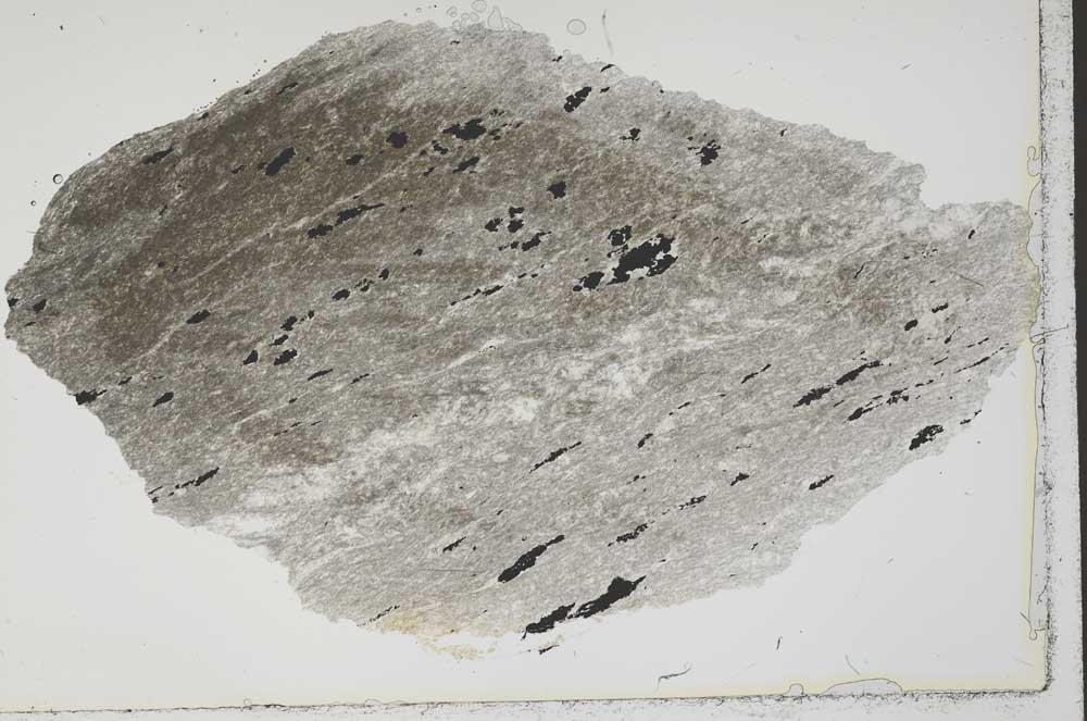 Plane Polarized, S41326