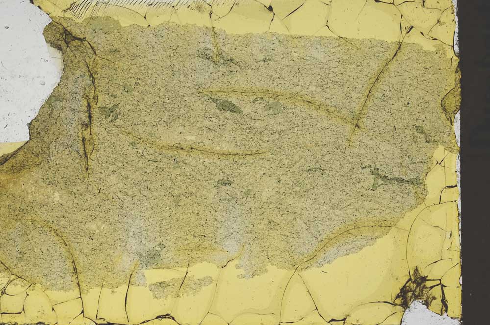 Plane Polarized, S41347