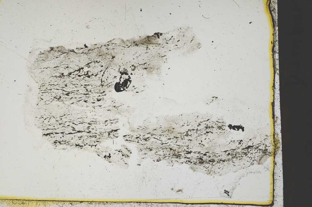 Plane Polarized, S41349