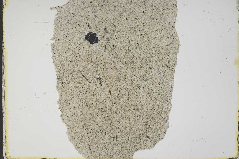 Plane Polarized, S41353