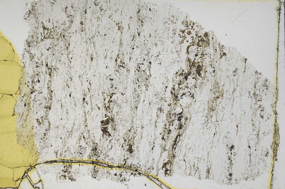 Plane Polarized, S41354