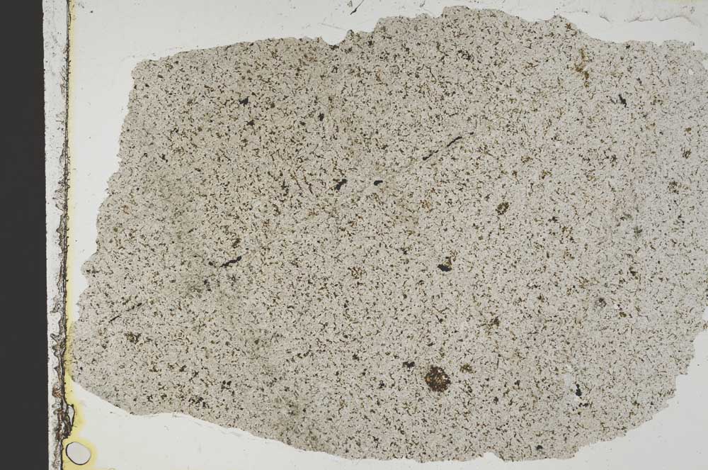 Plane Polarized, S41355